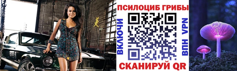 Псилоцибиновые грибы Psilocybine cubensis  Краснотурьинск 